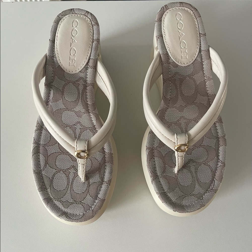 Coach Franki Platform Flip Flip Sandals